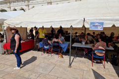 parvis-2